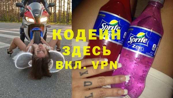 прущие грибы Балахна