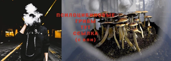 spice Белая Холуница