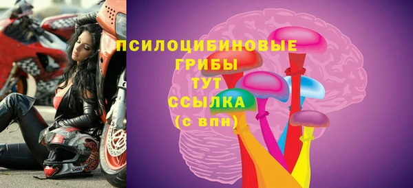трава Бородино