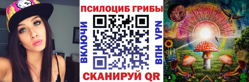 купить   Верхняя Тура  Псилоцибиновые грибы Psilocybe 